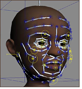 Bonyface Rig Layout