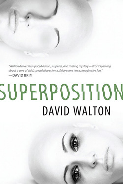 Superposition by David Walton